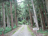 camp24 (446)_samu.gif